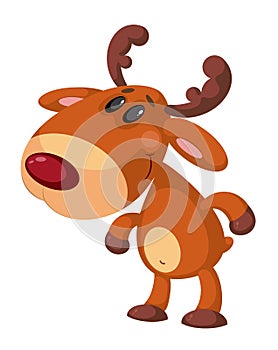 Funny deer