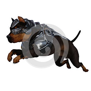 Funny dog 3d with costume isolated