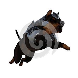 Funny dog 3d with costume isolated