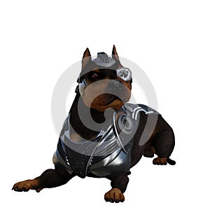 Funny dog 3d with costume isolated