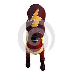 Funny dog 3d with costume isolated