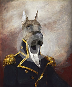 Funny Dog General, Commodore, Oil Painting