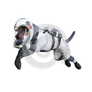 Funny dog with astronaut costume isolated