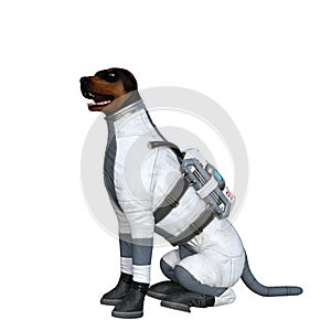 Funny dog with astronaut costume isolated