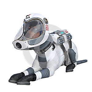 Funny dog with astronaut costume isolated