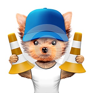 Funny dog in baseball cap holding cone