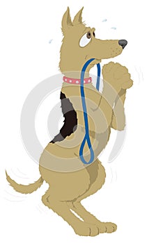 funny dog beg animal vector illustration transparent background