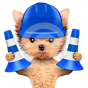 Funny dog in blue hard hat Isolated on white