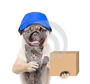 Funny dog with cat delivering a big package. isolated on white background