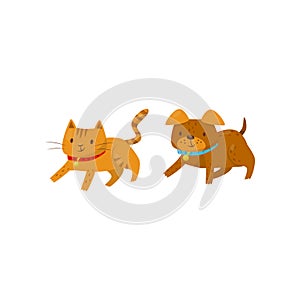 Funny dog and cat running together, cute domestic pet animals cartoon characters, best friends vector Illustration on a
