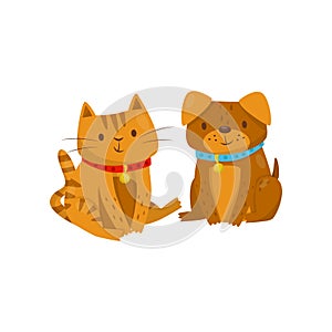 Funny dog and cat sitting together, cute domestic pet animals cartoon characters, best friends vector Illustration on a