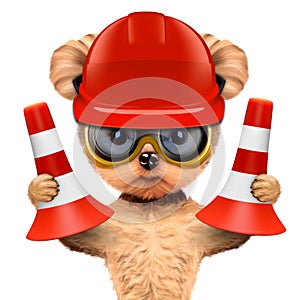 Funny dog with cones, hard hat and protective goggles