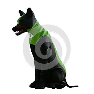 Funny dog with costume isolated