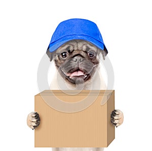 Funny dog delivering a big package. isolated on white background