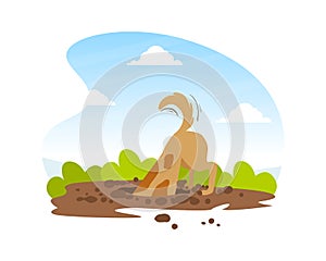 Funny Dog Digging Deep Hole in Garden, Beautiful Summer Landscape Flat Vector Illustration photo
