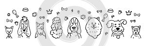 Funny dog faces, cute doodles. Pretty puppy pets different breeds, beauty sketch isolated elements for banner, adorable