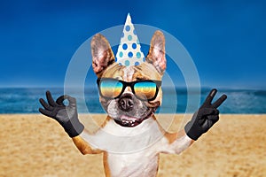 Funny dog ginger french bulldog in a festive cap on holiday show a sign approx. Animal on beach, sea and sky background