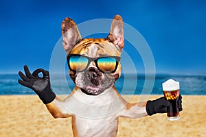 Funny dog ginger french bulldog in sunglasses hold alcoholic beer in a glass in a bar and show a sign approx. Animal on beach, sea