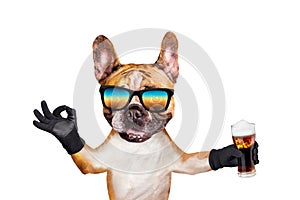 Funny dog ginger french bulldog in sunglasses hold alcoholic beer in a glass in a bar and show a sign approx. Animal isolated on