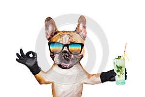 Funny dog ginger french bulldog in sunglasses hold a alcoholic cocktail in a glass in a bar and show a sign approx. Animal