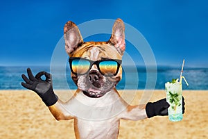 Funny dog ginger french bulldog in sunglasses hold a alcoholic cocktail in a glass in a bar and show a sign approx. Animal on