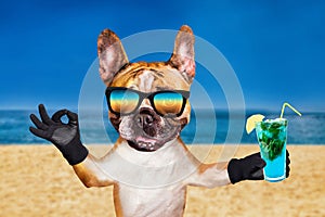 Funny dog ginger french bulldog in sunglasses hold a alcoholic cocktail in a glass in a bar and show a sign approx. Animal on