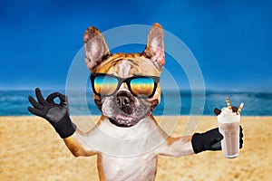 Funny dog ginger french bulldog in sunglasses hold a milkshake in a glass and show a sign approx. Animal on beach, sea and sky