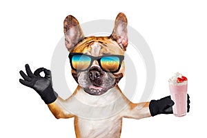 Funny dog ginger french bulldog in sunglasses hold a milkshake in a glass and show a sign approx. Animal isolated on white