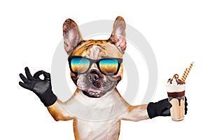 Funny dog ginger french bulldog in sunglasses hold a milkshake in a glass and show a sign approx. Animal isolated on white