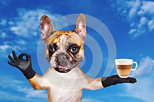 Funny dog ginger french bulldog waiter in a black bow tie hold a glass coffee mug and show a sign approx. Animal on blue sky photo