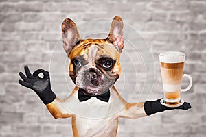 Funny dog ginger french bulldog waiter in a black bow tie hold a glass coffee mug and show a sign approx. Animal on brick wall photo