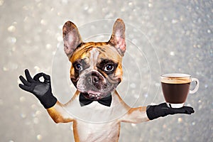 Funny dog ginger french bulldog waiter in a black bow tie hold a glass coffee mug and show a sign approx. Animal on gray photo