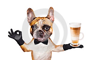 Funny dog ginger french bulldog waiter in a black bow tie hold a glass coffee mug and show a sign approx. Animal isolated on white photo