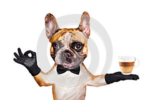 Funny dog ginger french bulldog waiter in a black bow tie hold a glass coffee mug and show a sign approx. Animal isolated on white