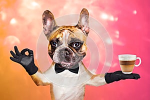 Funny dog ginger french bulldog waiter in a black bow tie hold a glass coffee mug and show a sign approx. Animal on a pink orange