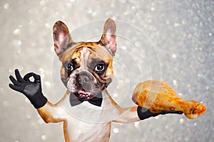 Funny dog ginger french bulldog waiter in a black bow tie hold a grilled chicken leg and show a sign approx. Animal on gray