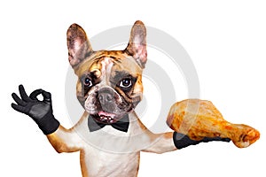 Funny dog ginger french bulldog waiter in a black bow tie hold a grilled chicken leg and show a sign approx. Animal isolated on