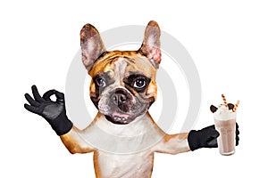 Funny dog ginger french bulldog waiter hold a milkshake in a glass and show a sign approx. Animal isolated on white background