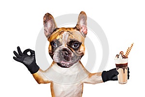 Funny dog ginger french bulldog waiter hold a milkshake in a glass and show a sign approx. Animal isolated on white background