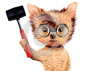 Funny dog with hammer Isolated on white