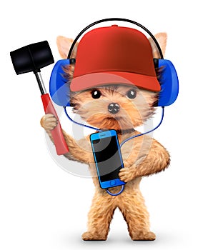 Funny dog with hammer and smartphone