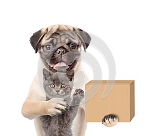 Funny dog in hat laborer with cat delivering a big package. isolated on white background