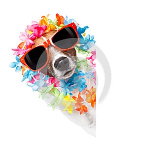 Funny dog  hawaiian  lei and sunglasses