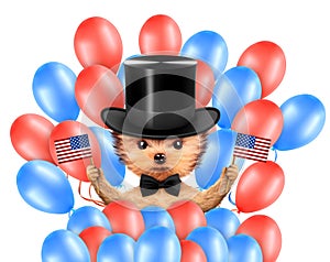 Funny dog holding USA flag. Concept of 4th of July