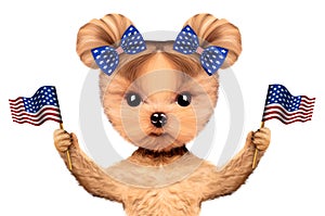 Funny dog holding USA flags. Concept of 4th of July