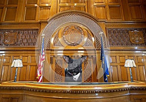 Funny Dog Judge, Courtroom, Law, Court Room