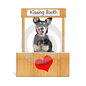 Funny Dog Kissing Booth