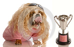 Funny dog with lover trophy