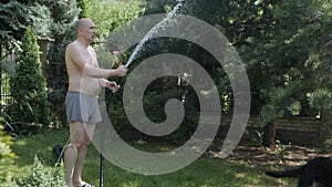 Funny dog is playing with water from a hose. A bald man in shorts pours water from a garden with a hose