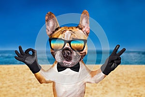 Funny dog red french bulldog in a black bow tie and Sunglasses. Shows with his paws and hands a gesture of peace and a sign approx